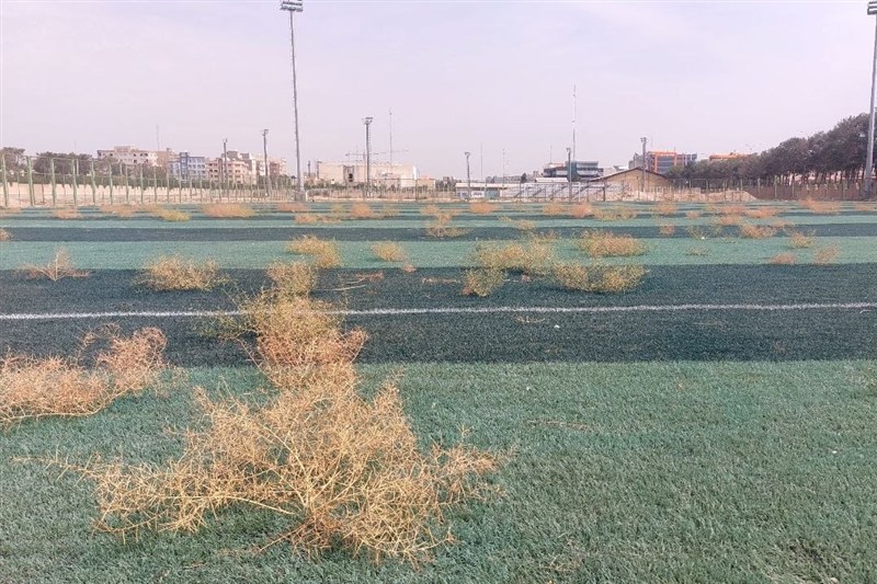 اخبار بهارستان , نظام مسائل استان تهران , شرکت توسعه اماکن ورزشی , وزارت ورزش و جوانان جمهوری اسلامی ایران , 